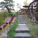 달그리고강 이미지