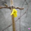 백운화원 이미지