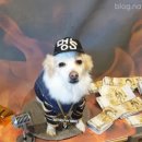 쇼미더멍 이미지