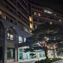 이목로 | 속초 가성비 숙소, 설악 농협 생명 수련원 75,000원에 즐긴 23평형 가족 숙소