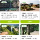 강골목장 네이버블로그