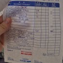 반딧불이 | [1023] 코타키나발루 봉가완 반딧불이 투어 내돈내산 후기 | 귀국날 일정 추천