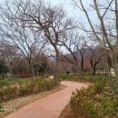 신전권역 야영장 이미지