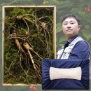 효도.. 10년근 산삼 3뿌리 72,000 이미지