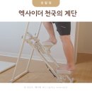 가정용 천국의 계단 칼로리 엑사이더 스텝퍼 사용해본 후기