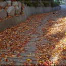 노가니길 이미지