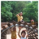 우면생태놀이터 이미지