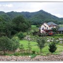 숲과계곡속으로 이미지