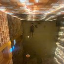 대사리약국 | 안면도 갑오징어 쭈꾸미낚시 영목항 맥가이버호