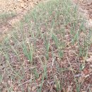 종규농장 이미지