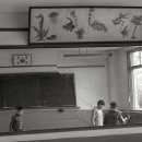 신평초교 이미지