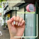 세븐일레븐 안산행운점 | 안산네일샵 이달의아트 잘하는 곳에서 여름 네일하기 숲속네일