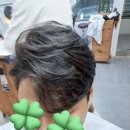 마곡나루미용실 “살롱드760”에서 남자 가일펌 후기 !