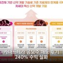피앤디동아메디컬(주) | 카나프테라 공모주 매도 후기 240% 수익 실화