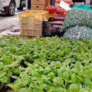 송정2천 이미지