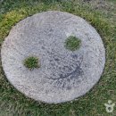 미술관아래 이미지