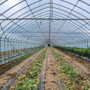 환영2농장 이미지