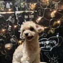 투독플레이스 이미지