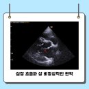 동물병원 더 하임 이미지