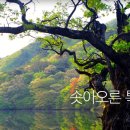 (주)일원지질 Daum카페