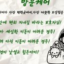 운정 숲 고양이호텔 네이버블로그