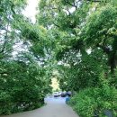 해피캠핑장 이미지