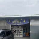 수입그릇 아울렛 일산 모드니 방문 후기