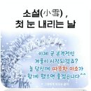 153파크 Daum카페