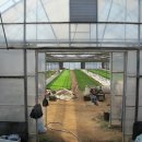 장곡농장 이미지