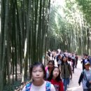 외솔초등학교 이미지