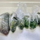 세진민박 이미지