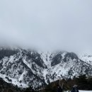 드라코짐 이미지