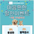 마음편한동물메디컬센터 이미지