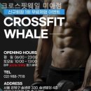 웨일 미아점 | 크로스핏웨일 미아점 헬스장 PT 가격