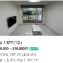 베툴라 자작나무숲 펜션 이미지