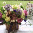 벤자민&데이지 이미지