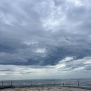 솔거리 하우스 | [강원도 여행] 일대 제패한 강원도 여행 일기(강릉,양양,속초)