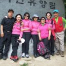 도고온천초등학교 Daum카페
