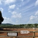 당근든토끼 | 제주도 / 아이와 함께하는 자연친화적인 동물체험 카페 밭디, 길갈 팜 랜드 방문 솔직후기!