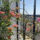 예산목장 이미지