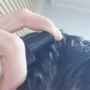 벨르플러스 이미지