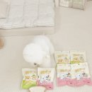 인터펫코리아 | 인터펫 코리아 | 옳치즈 과일콕 , 야채콕