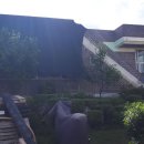 진위서로 이미지