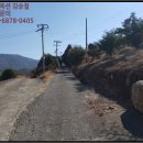시드니법원경매