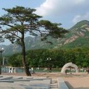 포천 서울신문