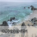 청목농장 | 애견동반 울진 여행기 1~2일 : 죽변수산물시장/마일207펜션/청목신신짬뽕/왕피천공원