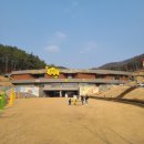꿀벌나라테마공원 네이버블로그