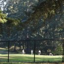 영월파크골프장 이미지