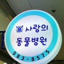 솔샘동물병원