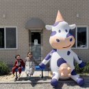 산정목장 1 네이버블로그